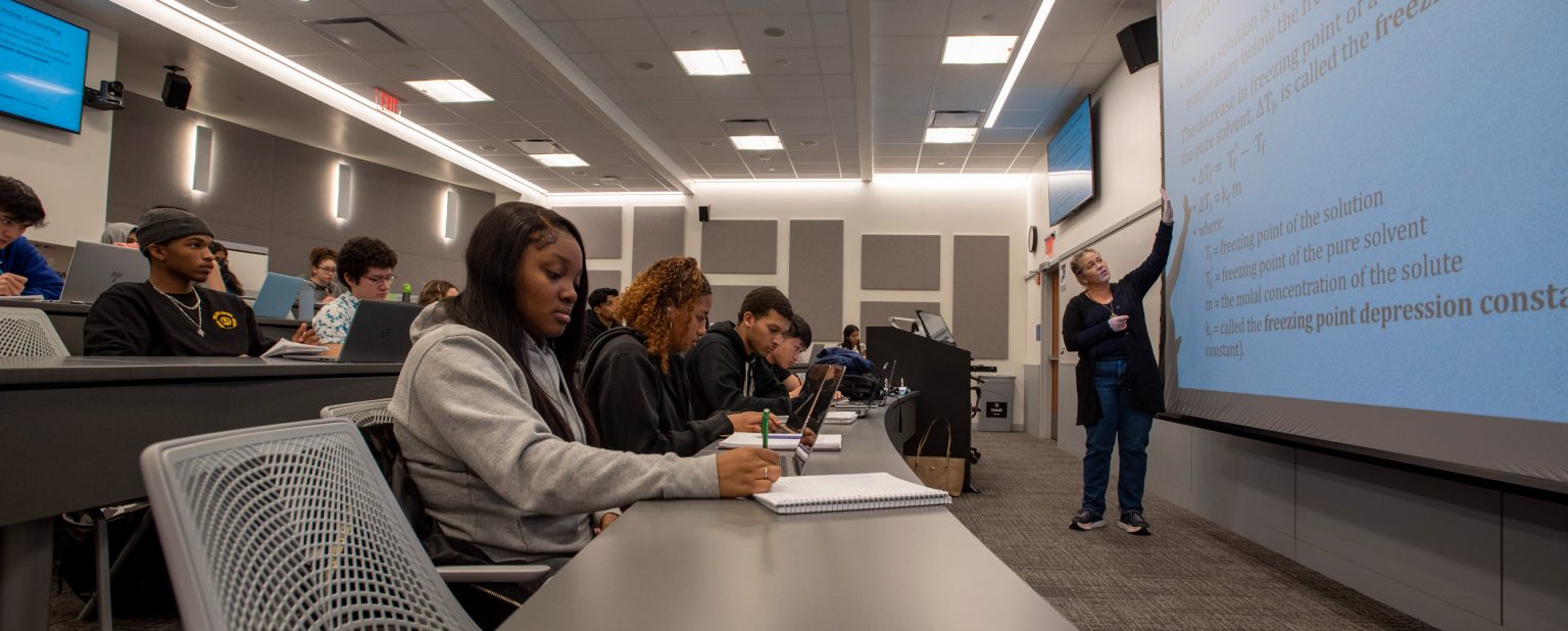 Undergraduate Programs Stamford Undergraduate Programs Stamford